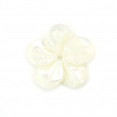 White mother of pearl flower shape with 5 petals 15mm x 1pc