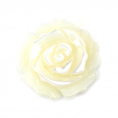 Nacre blanche en rose semi-percée 30mm x 1pc
