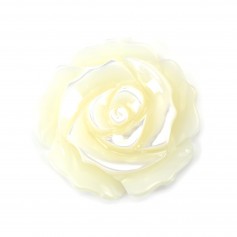 Weißes Perlmutt in Rosa halb durchbohrt 30mm x 1St