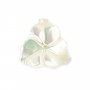 Weißes Perlmutt in Form einer Blume mit 3 Blütenblättern 12mm x 1St