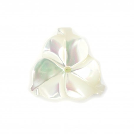 Nacre blanche en forme de fleur à 3 pétales 12mm x 1pc
