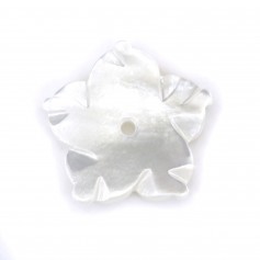 Nacre blanche en fleur de 5 pétales 12mm x 1pc