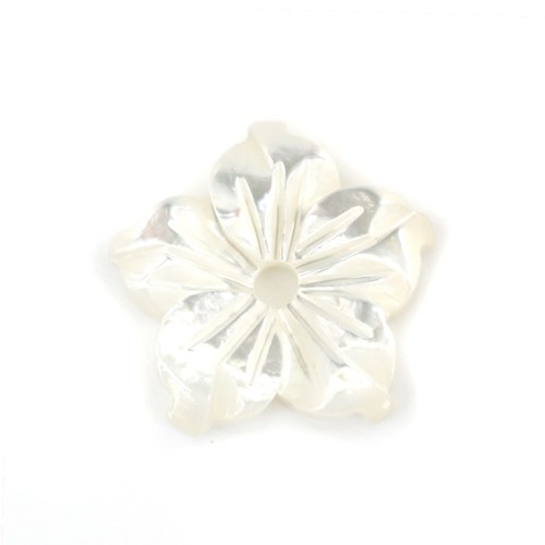 Weiße Perlmuttblume mit 5 Blütenblättern 10mm x 1 Stk