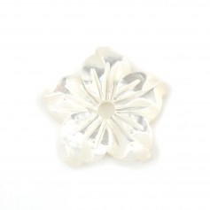 Fiore bianco di madreperla 5 petali 10 mm x 1 pz