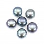 Perle de culture d'eau douce, semi-percée, bleue foncée, bouton, 6-6.5mm x 1pc