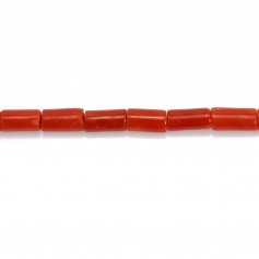 Rote Koralle Natur Tube 3x5mm x 50cm
