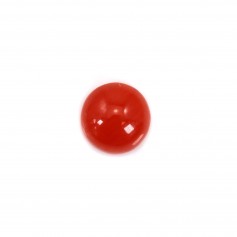 Cabochon Natural Red Coral rund 4mm x 1pc