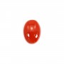 Cabochon Corail rouge Naturel ovale 4x6mm x 1pc