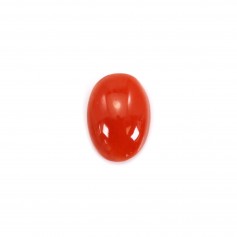 Coral Rojo Natural Cabochon Oval 4x6mm x 1pc