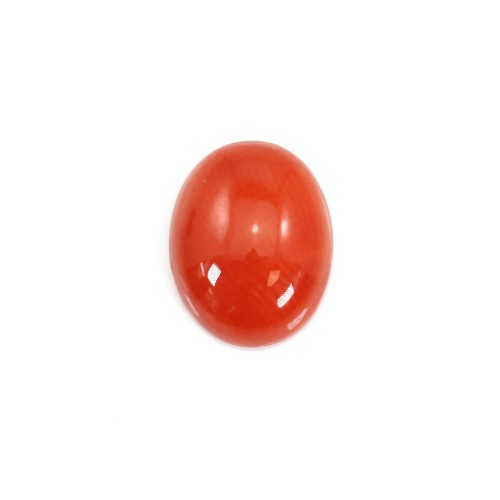 Cabochon Natural Red Coral Oval 8x10mm x 1pc
