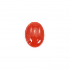 Natural Oval Red Coral Cabochon 6x8mm x 1pc