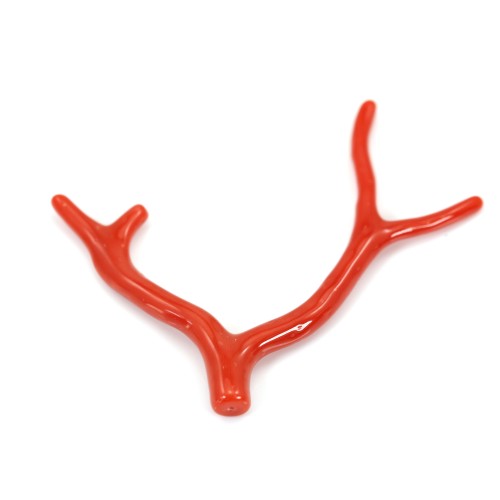 Rote Koralle Natürlicher Zweig 30-50mm x 1St