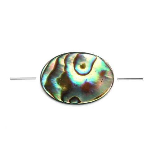 Nacre d'ormeau de forme ovale 13x18mm x 2 st