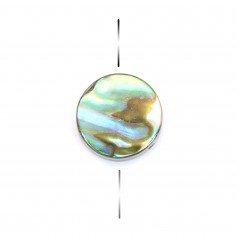 Abalone mother of pearl flat round 8mm x 5pcs