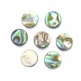 Abalone mother-of-pearl flat round beads 8mm x 10 pcs