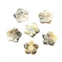 Gray mother-of-pearl 5 petal flower 12mm x 1pc