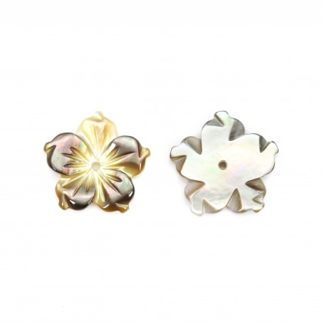 Gray mother-of-pearl 5 petal flower 8mm x 1pc