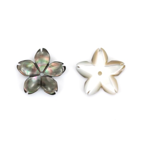 Gray mother-of-pearl 5 petal flower 10mm x 1pc