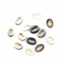 Gray mother-of-pearl hollowed oval beads 4x6mm x 20 pcs