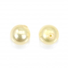 Pearl mother-of-pearl yellow half drilled x 2pcs