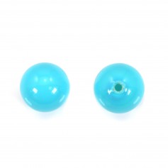 Pearl of mother-of-pearl turquoise half drilled x 2pcs
