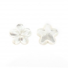 White mother of pearl flower with 5 petals 15mm x 1pc