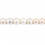 Perle coltivate d'acqua dolce, bianche, rotonde, 11-13 mm x 40 cm