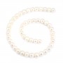 Perles de culture d'eau douce, blanche, ronde, 8.5-9.5mm x 39cm