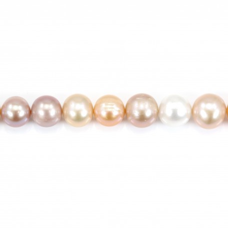 Perles de culture d'eau douce ,multicolore, ovale, 12-14mm x 39cm