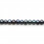 Perles d'eau douce ovale bleu fonce 4-5mm x 38cm