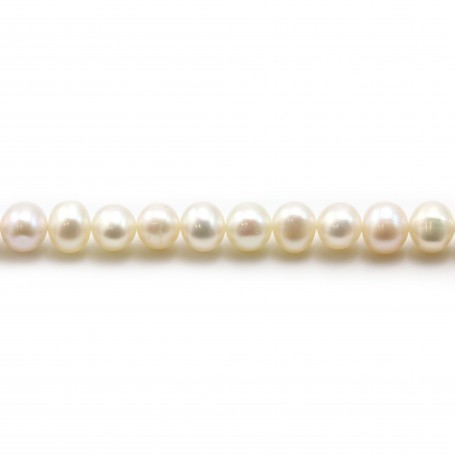 Freshwater cultured pearls, white, half-round, 5-5.5mm x 36cm