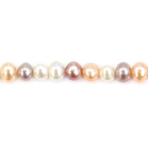 Perles de culture d'eau douce, multicolore, ovale, 5.5-6mm x 36cm