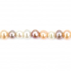 Freshwater cultured pearls, multicolor, oval, 5.5-6mm x 36cm
