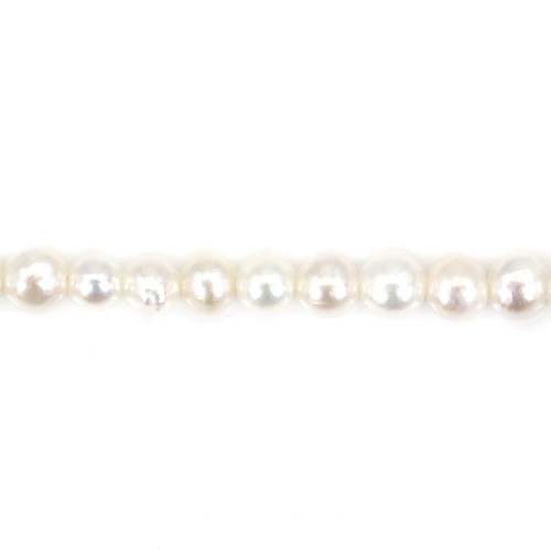 Perla coltivata d'acqua dolce, bianca, semitonda, 3,5 mm x 36 cm