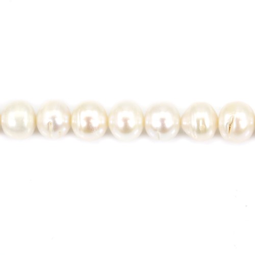Perla cultivada de agua dulce, blanca, semicircular/redonda, 9-10mm x 40cm