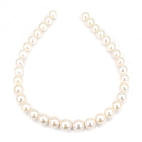 Freshwater cultured pearl, white, round, gradient size 11-13mm, AA x 40cm