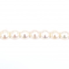 Freshwater cultured pearl, white, half-round, 7.5-8mm x 40cm