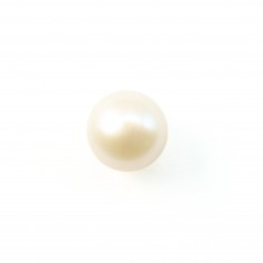 Perlas cultivadas de agua dulce, semiperforadas, blancas, semirredondas, 5,5-6mm x 1ud