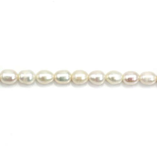 Perles de culture d'eau douce, blanche, olive, 5.5-6.5mm x 38cm