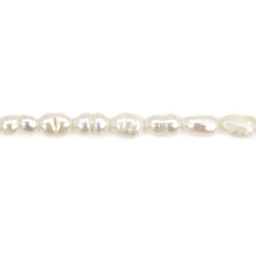 Perla coltivata d'acqua dolce, bianca, oliva/irregolare 2,5-3 mm x 35 cm