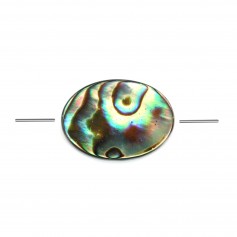 Mother of pearl Abalone oval 8x10mm x 2pcs