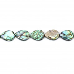 Nacre abalone goutte plate 12x16mm x 1pc