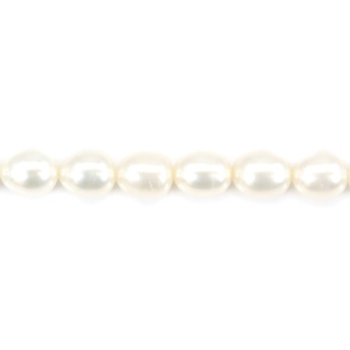 White ovale freshwater pearl 5-6mm x 40cm
