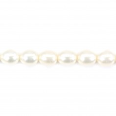 Freshwater cultured pearls, white, olive, 6mm x 4pcs