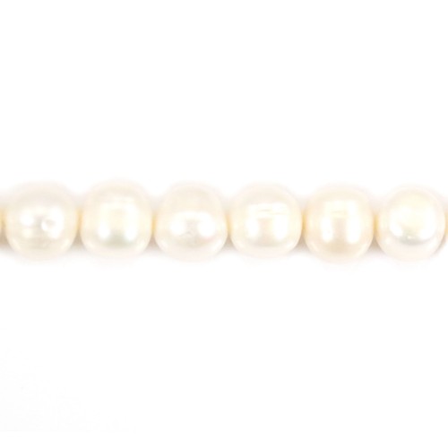Perles de culture d'eau douce, blanche, ovale, 10-11mm x 40cm