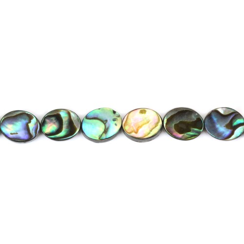 Abalone shell oval 8x10mm x 40cm 