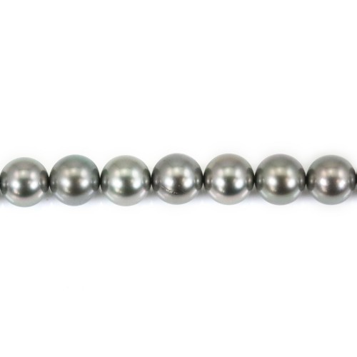 Perlas cultivadas de Tahití, redondas, 8,5-9,4mm x 40cm