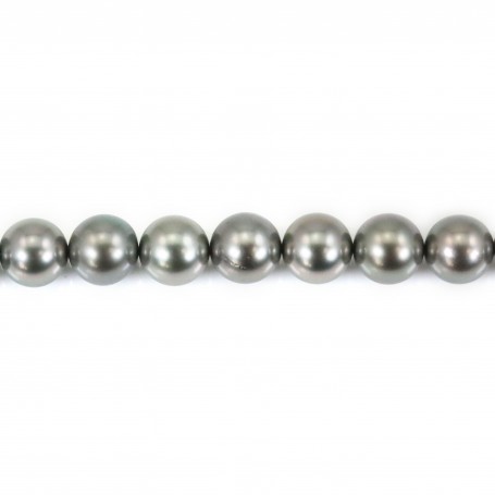 Perles de tahiti gris claire rond 8.5-9.4mm x 40cm