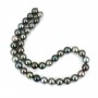 Perles noires de Tahiti rond 7.8-8 à 9.5-10 mm x 40cm