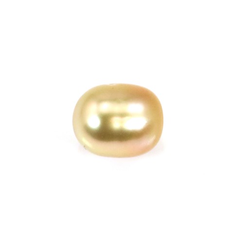 Perle des mers du Sud, dorée, olive, 10-10.5mm x 1pc